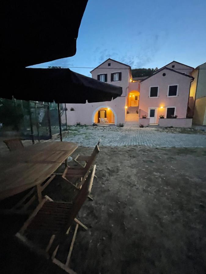 Olive Apartment